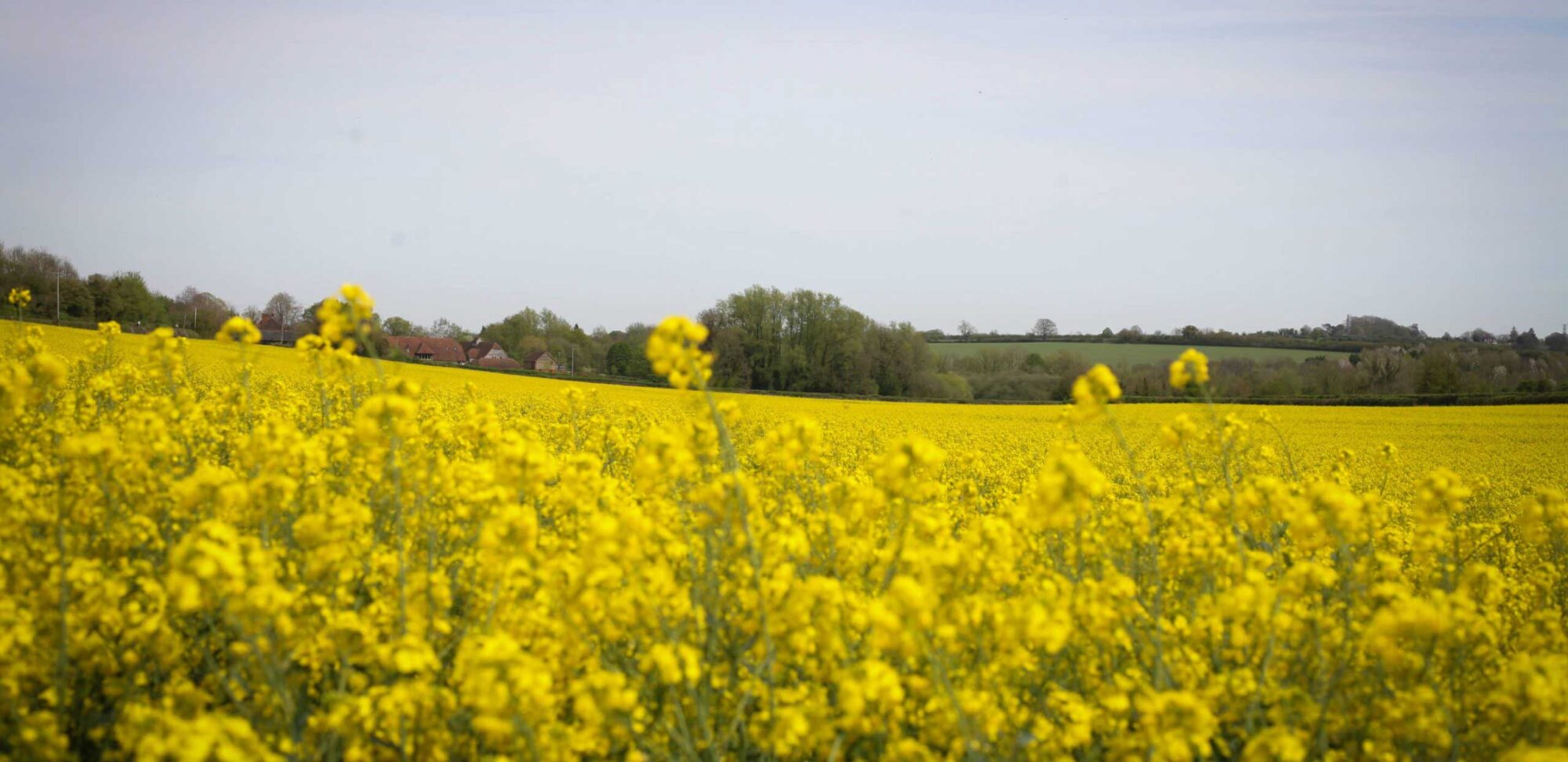 Welcome to Barnsgrove, 
A Family Run, Members Clubhouse 
Nestled in the Heart of the 
Hampshire Countryside