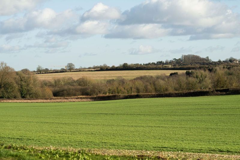 DISCOVER BUTLER FARM WITH JO: A GUIDED WALK